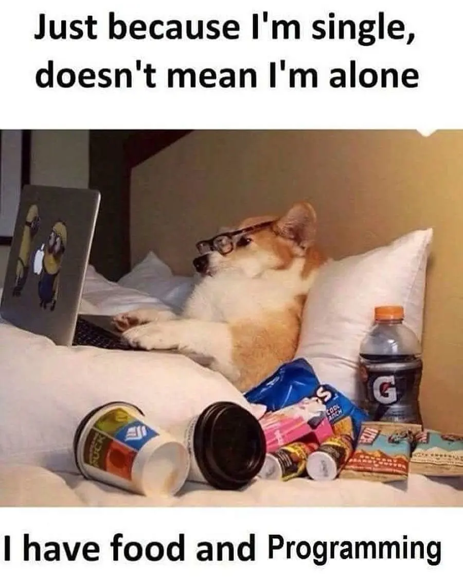 Profile image for jerry